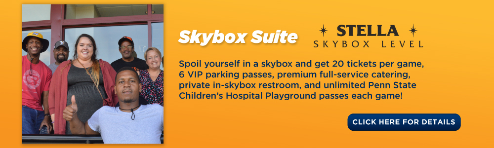 2022_GroupsWebpage_ImageCards-SkyboxSuite-Stella.jpg