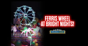 BRIGHT NIGHTS GETS SPOTLIGHT ATTRACTION