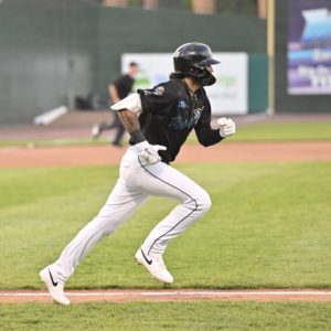 Revs Shut Down Ducks in Opener, Nearly Pull Off Big Comeback in Doubleheader Split