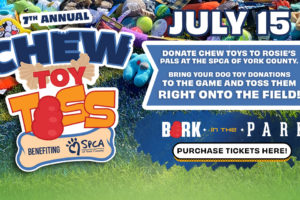 Rosie is collecting toys for her friends!