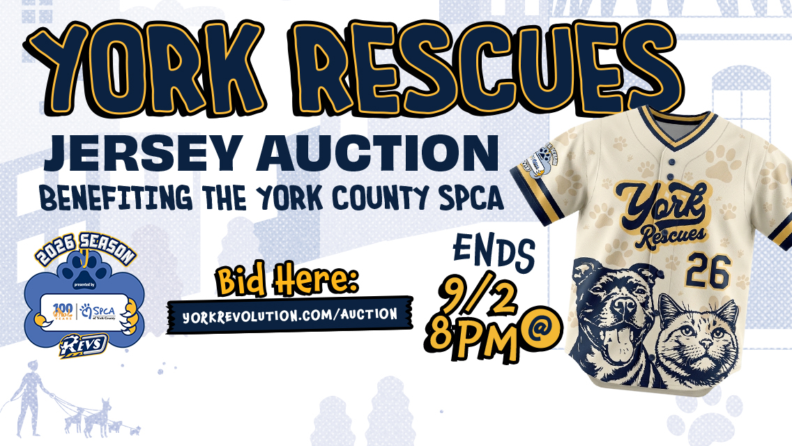 Bid Here